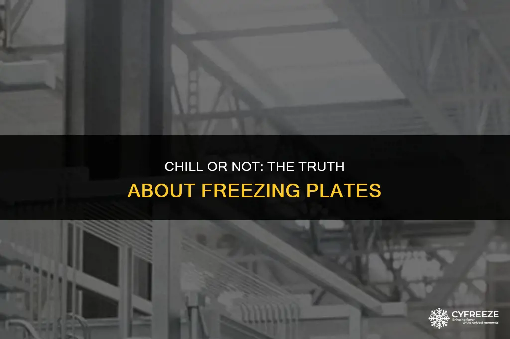 can you put a plate in the freezer