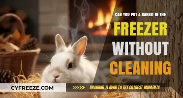 Freezing Rabbits: A Guide to Safe and Humane Preservation
