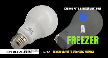 Chilling Illumination: Can Regular Light Bulbs Survive the Freezer?