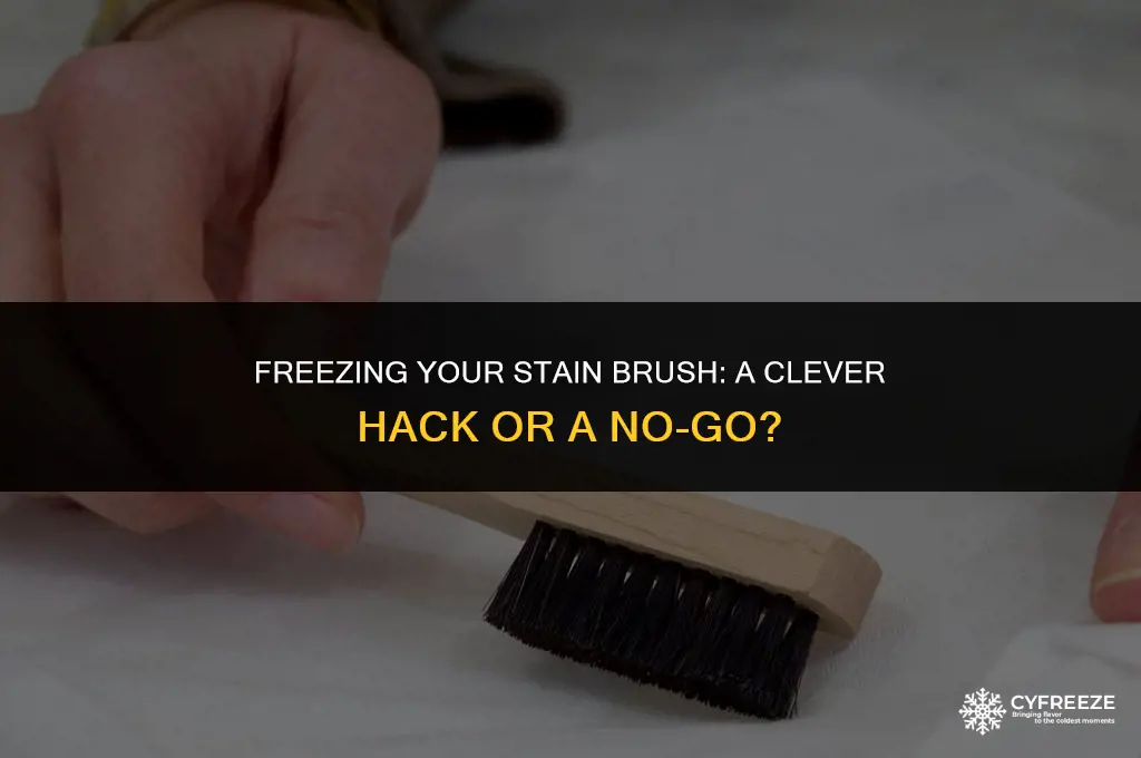 can you put a stain brush in the freezer