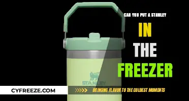 Chill Your Stanley: Freezer-Friendly Tumblers for Iced Drinks All Day