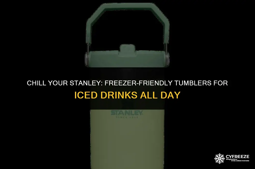 can you put a stanley in the freezer