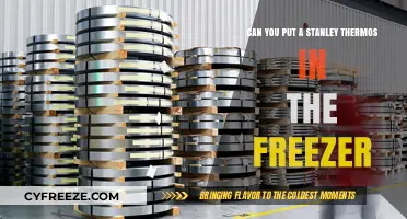 Chill Your Stanley Thermos: Freezer Safety and Optimal Use