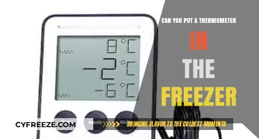 Can You Put a Thermometer in the Freezer?