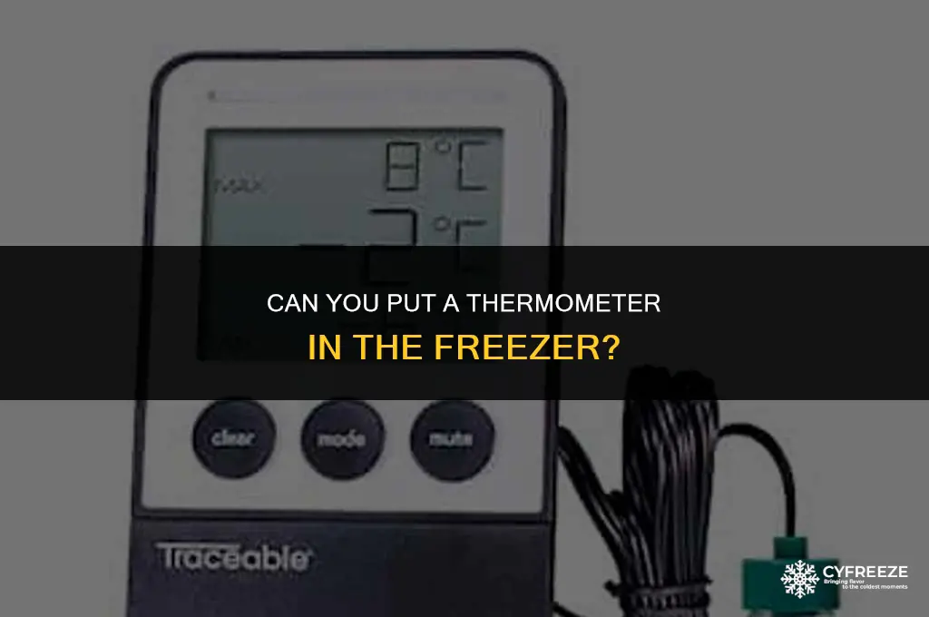 can you put a thermometer in the freezer