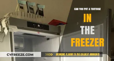 Can You Freeze a Tortoise? Shocking Truth Revealed!