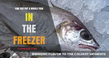 Freeze Your Catch: A Guide to Storing Whole Fish