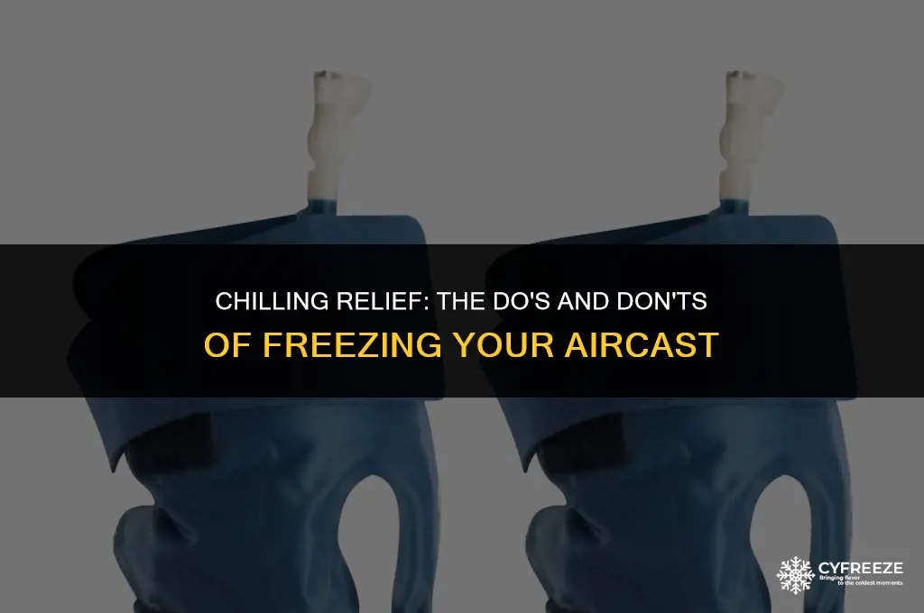 can you put an aircast in the freezer
