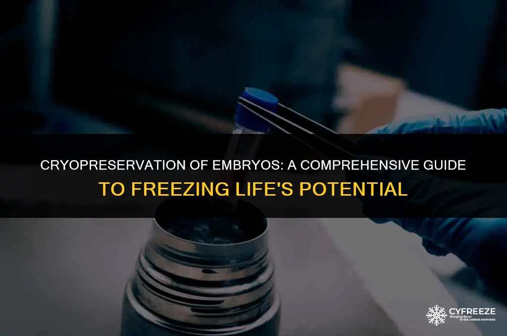 can you put an embryo in a freezer