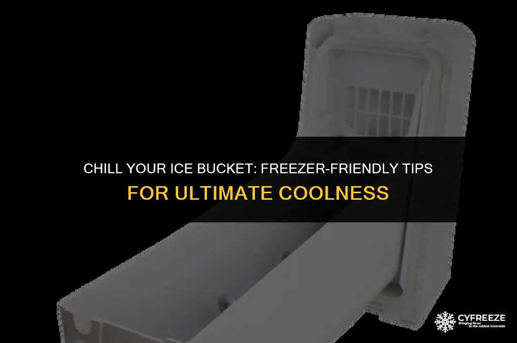 can you put an ice bucket in the freezer