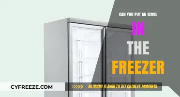 Chill Your iCool: Freezer-Friendly Tips for Your Portable Cooler