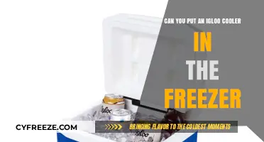 Chill Your Igloo Cooler: Freezer Use Explained