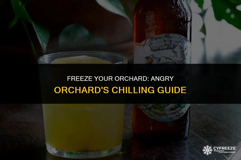 can you put angry orchard in the freezer