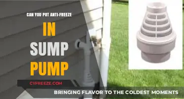 Preventing Winter Woes: The Truth About Anti-Freeze in Sump Pumps