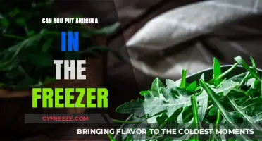 Fresh to Frozen: The Ultimate Guide to Freezing Arugula