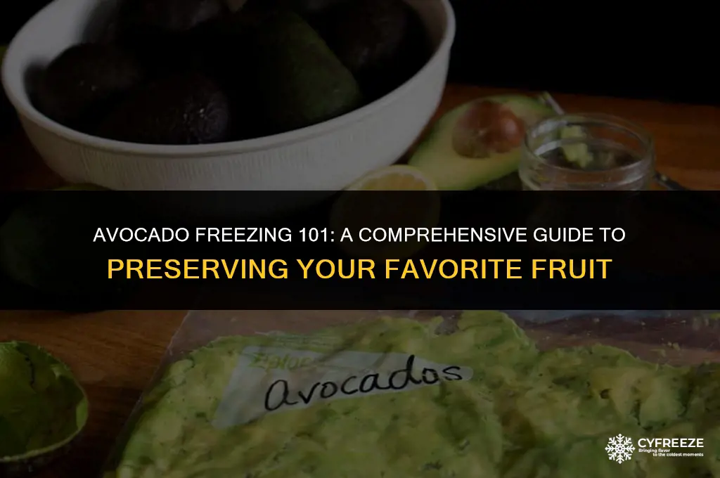 can you put avocados in the freezer