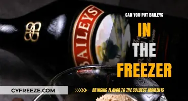 Chill Your Baileys: A Guide to Freezing Your Favorite Irish Cream