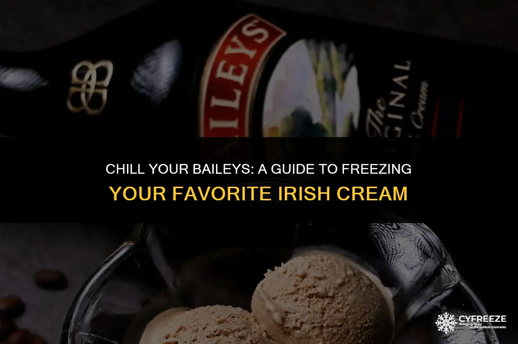 can you put baileys in the freezer