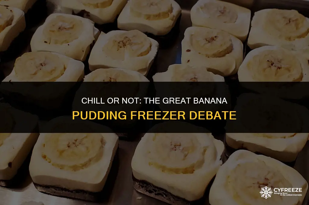 can you put banana pudding in freezer