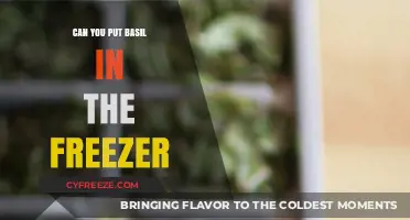 Fresh to Frozen: The Ultimate Guide to Freezing Basil