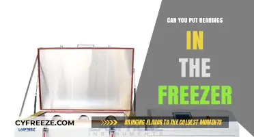 Chilling Your Bearings: A Guide to Freezer Storage for Smooth Performance
