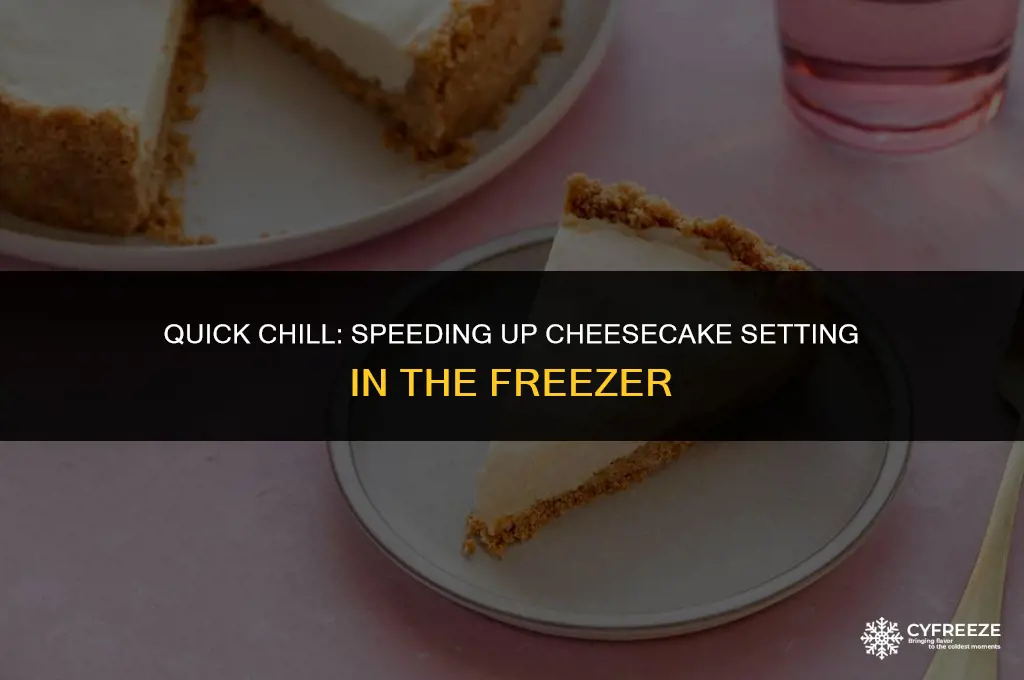 can you put cheesecake in the freezer to set quicker