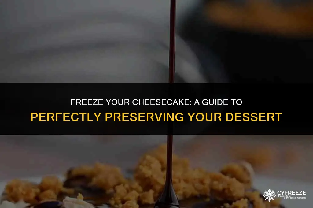 can you put cheesecake in the freezer