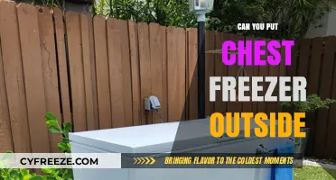Outdoor Chest Freezer: A Practical Guide for Safe and Efficient Use