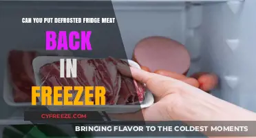 Reviving Frozen Delights: The Do's and Don'ts of Refreezing Defrosted Meat