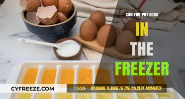 Egg-cellent Preservation: The Do's and Don'ts of Freezing Eggs