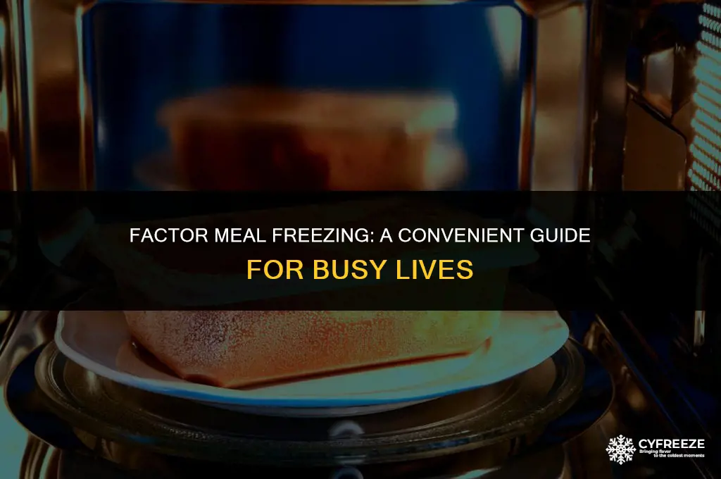 can you put factor meals in the freezer