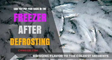 Reviving Frozen Fish: The Safe Guide to Re-Freezing Defrosted Seafood