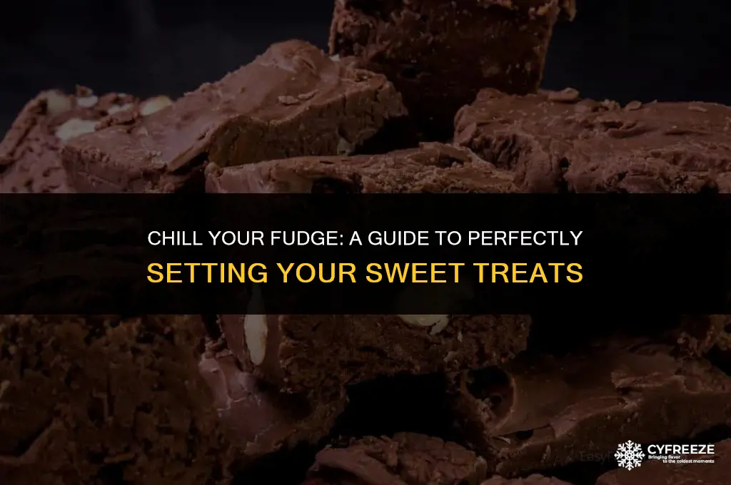 can you put fudge in the freezer to set