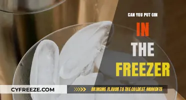 Chill Your Gin: A Guide to Freezing Your Favorite Spirit