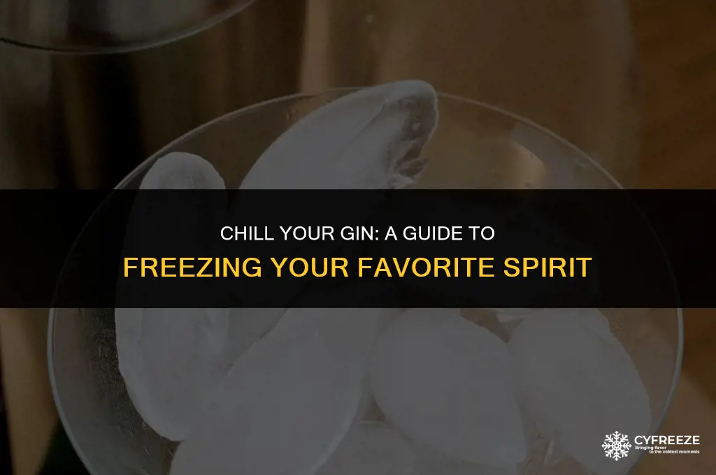 can you put gin in the freezer