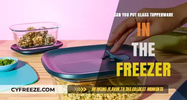Safely Storing Leftovers: Glass Tupperware's Freezer Compatibility Explained