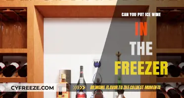 Chill or Freeze: The Ice Wine Storage Dilemma Explained
