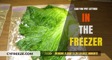 Fresh or Frozen: The Ultimate Guide to Storing Lettuce