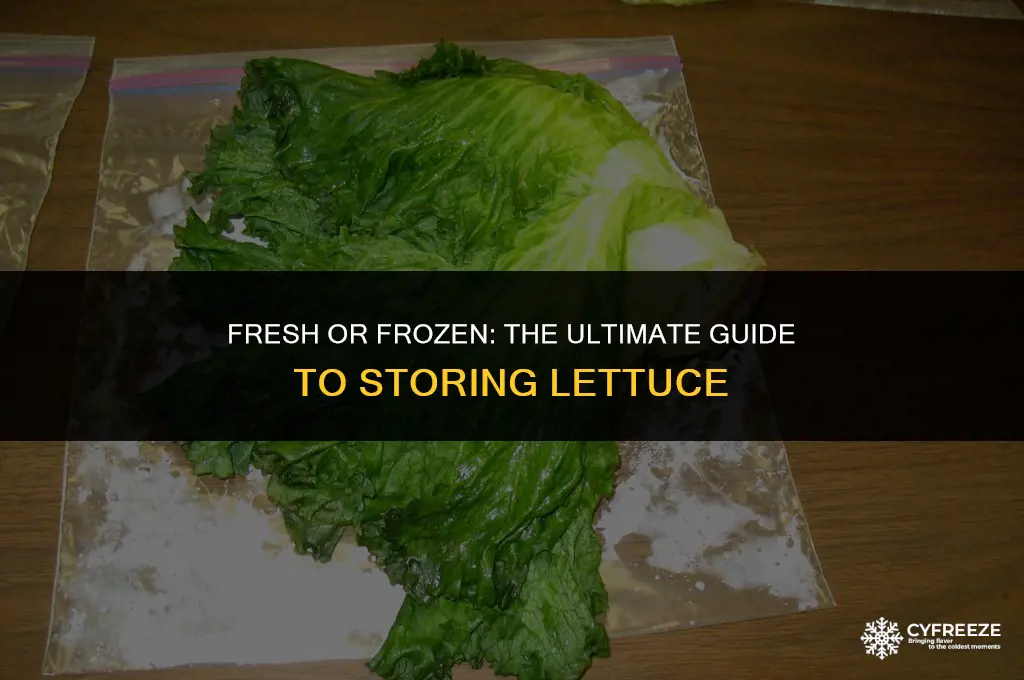 can you put lettuce in the freezer