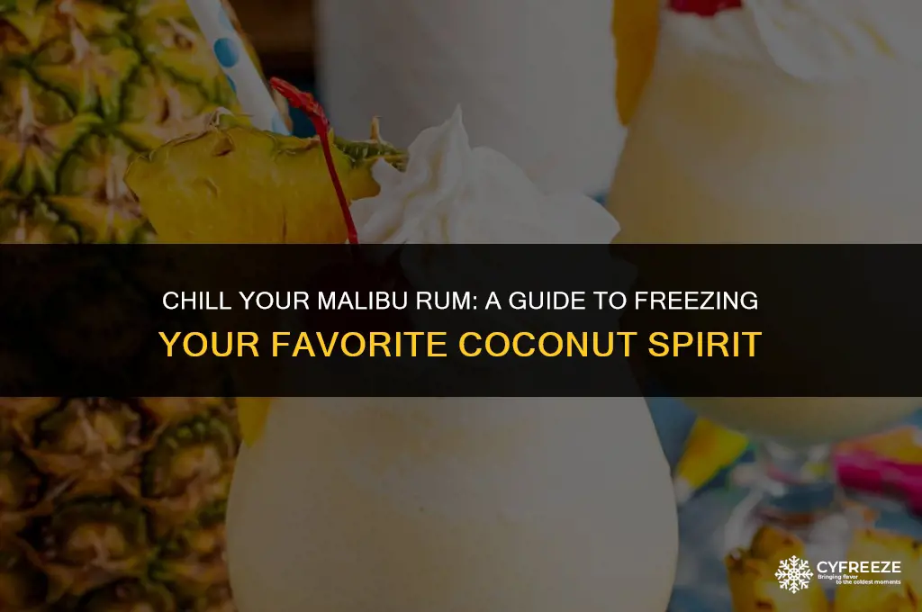 can you put malibu rum in the freezer