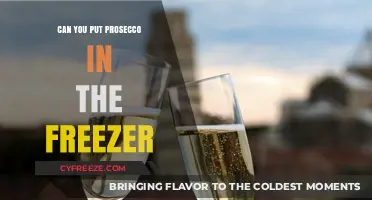 Chill or Not to Chill: The Prosecco Freezer Dilemma