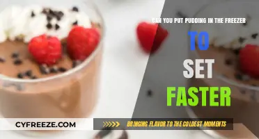 Quick Chill: Accelerating Pudding's Setting Time in the Freezer