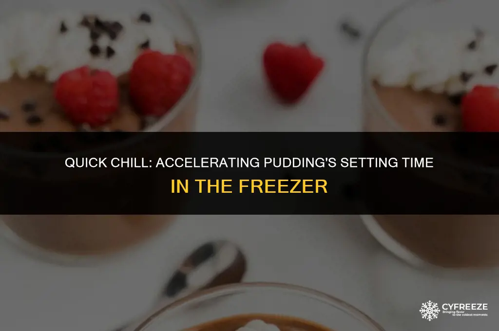 can you put pudding in the freezer to set faster