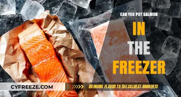 Fresh to Frozen: The Ultimate Guide to Freezing Salmon