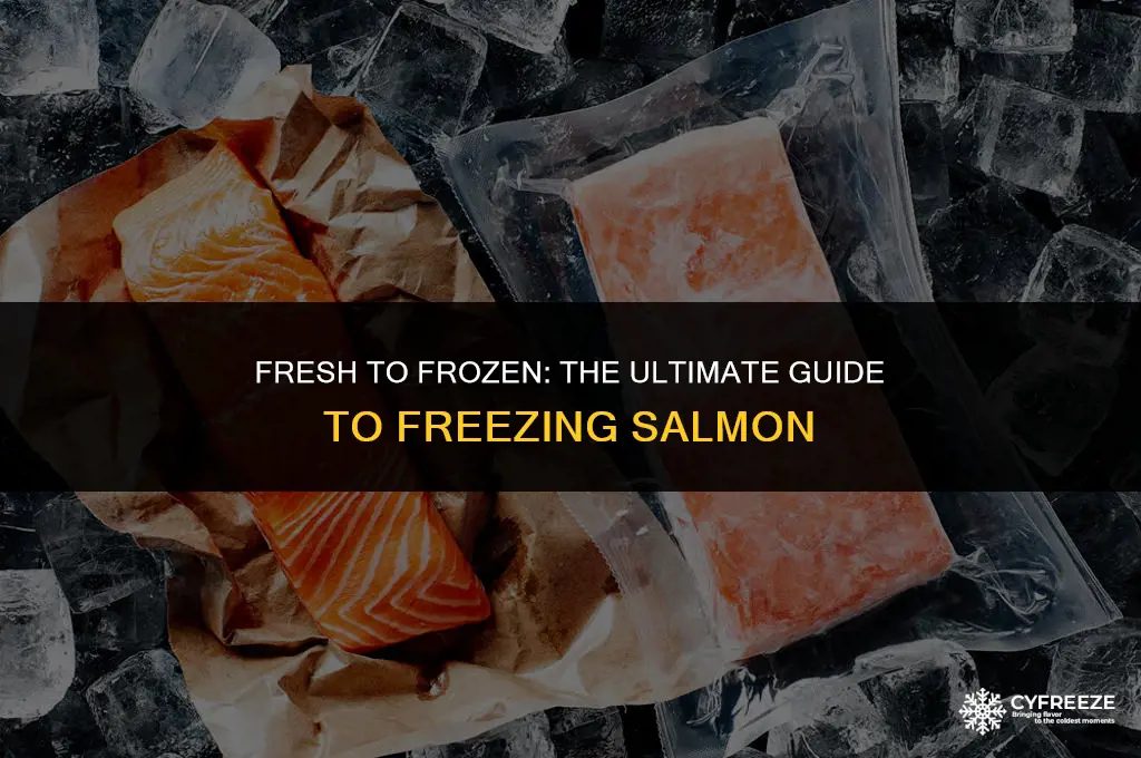 can you put salmon in the freezer