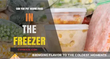 Quick Freeze: The Do's and Don'ts of Freezing Warm Food