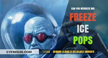 Reviving Frozen Delights: The Art of Refreezing Mr. Freeze Ice Pops