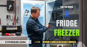 Reviving Your Fridge Freezer: A Step-by-Step Guide to Re-gassing