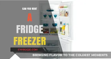 Renting a Fridge Freezer: A Cost-Effective Solution for Your Kitchen Needs
