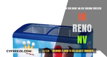 Cool Treats on Demand: Renting Ice Cream Freezers in Reno, NV